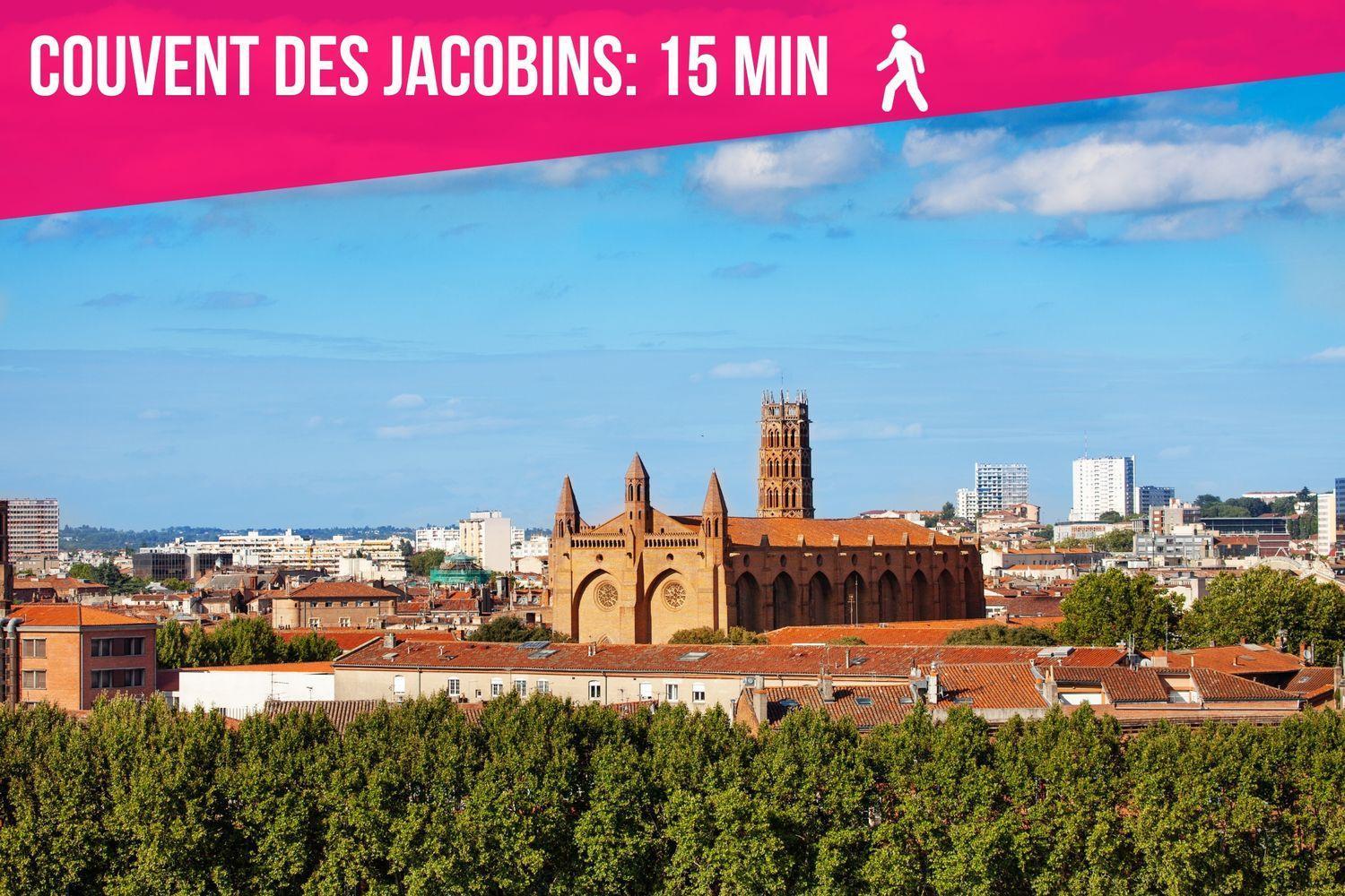 Le Charme D'Arnaud Hypercentre Wifi Accueil Gratuit H24 Apartment Toulouse Luaran gambar